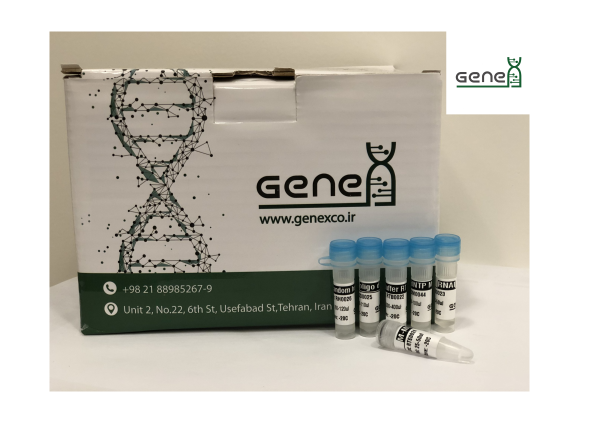 خرید کیت سنتز cdna