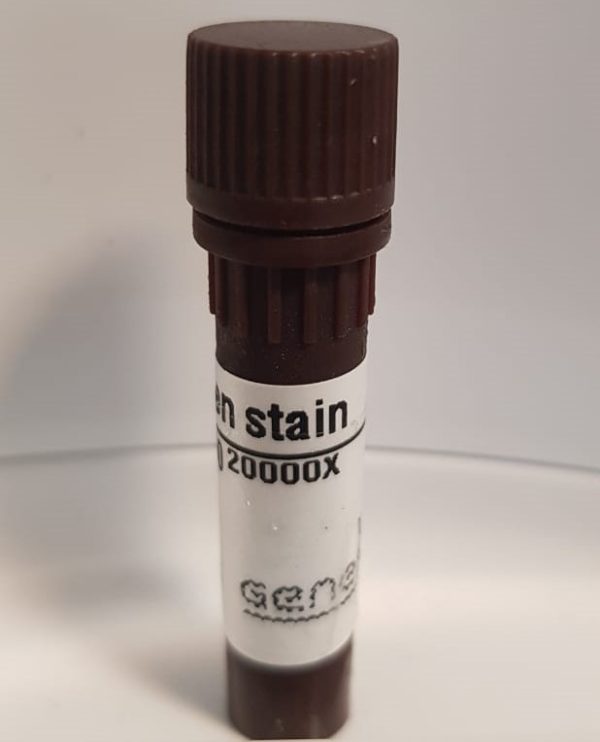 خرید safe stain