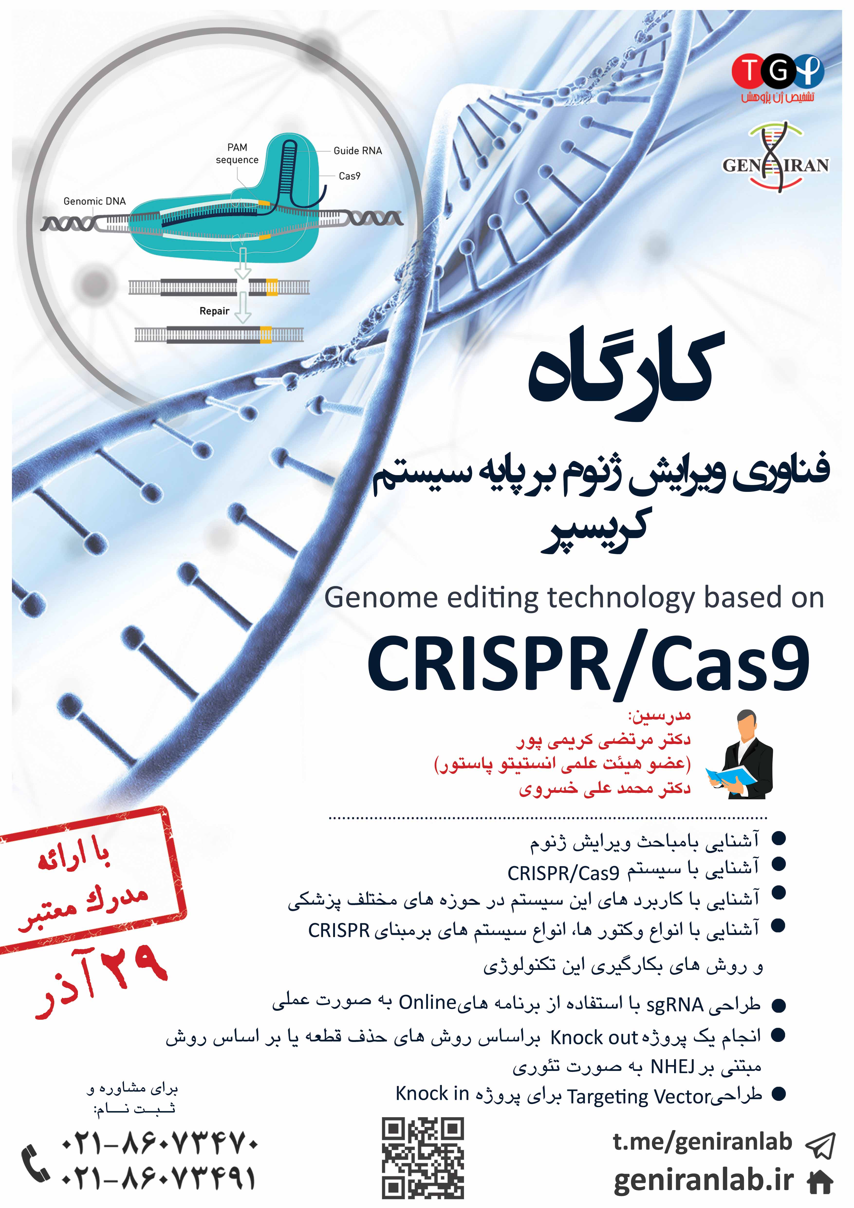 کارگاه crisper