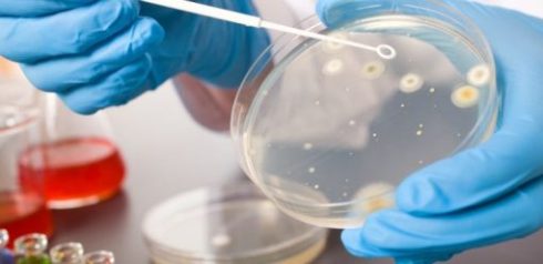 تجهیزات آزمایشگاه کشت میکروبی