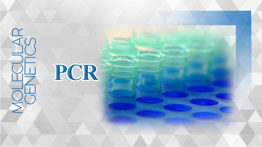 آموزش PCR