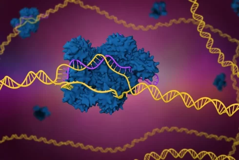تکنیک crispr cas 9 کریسپر کس ۹