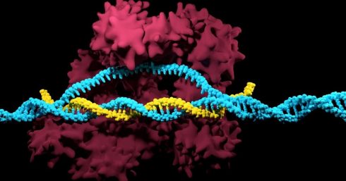 تکنیک crispr cas 9