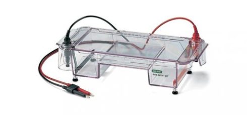 روش های الکتروفورز محصول PCR (آگارز و آکریل آمید)