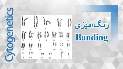 ویدیو رنگ آمیزی