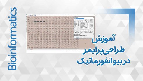 کاور طراحی پرایمر