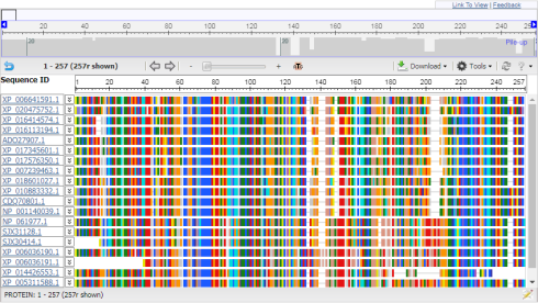 هم ردیف سازی توالی ها