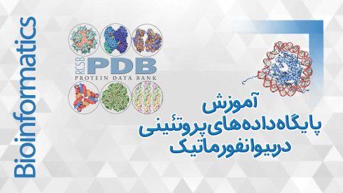 پایگاه داده های پروتئینی