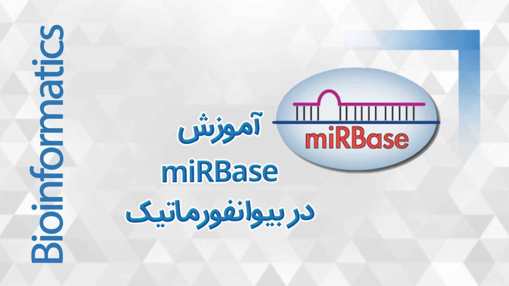 mirbase