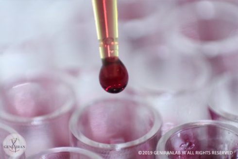 سنجش میزان اثر سمیت مواد