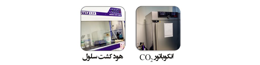 ترنسفکشن سلول ها