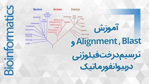 درخت-فیلوژنی