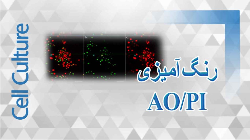 رنگ آمیزی AO/pi