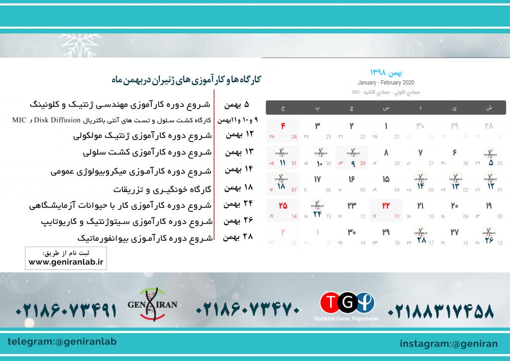 کارگاه ها و کارآموزی های ژنیران در بهمن ماه 98