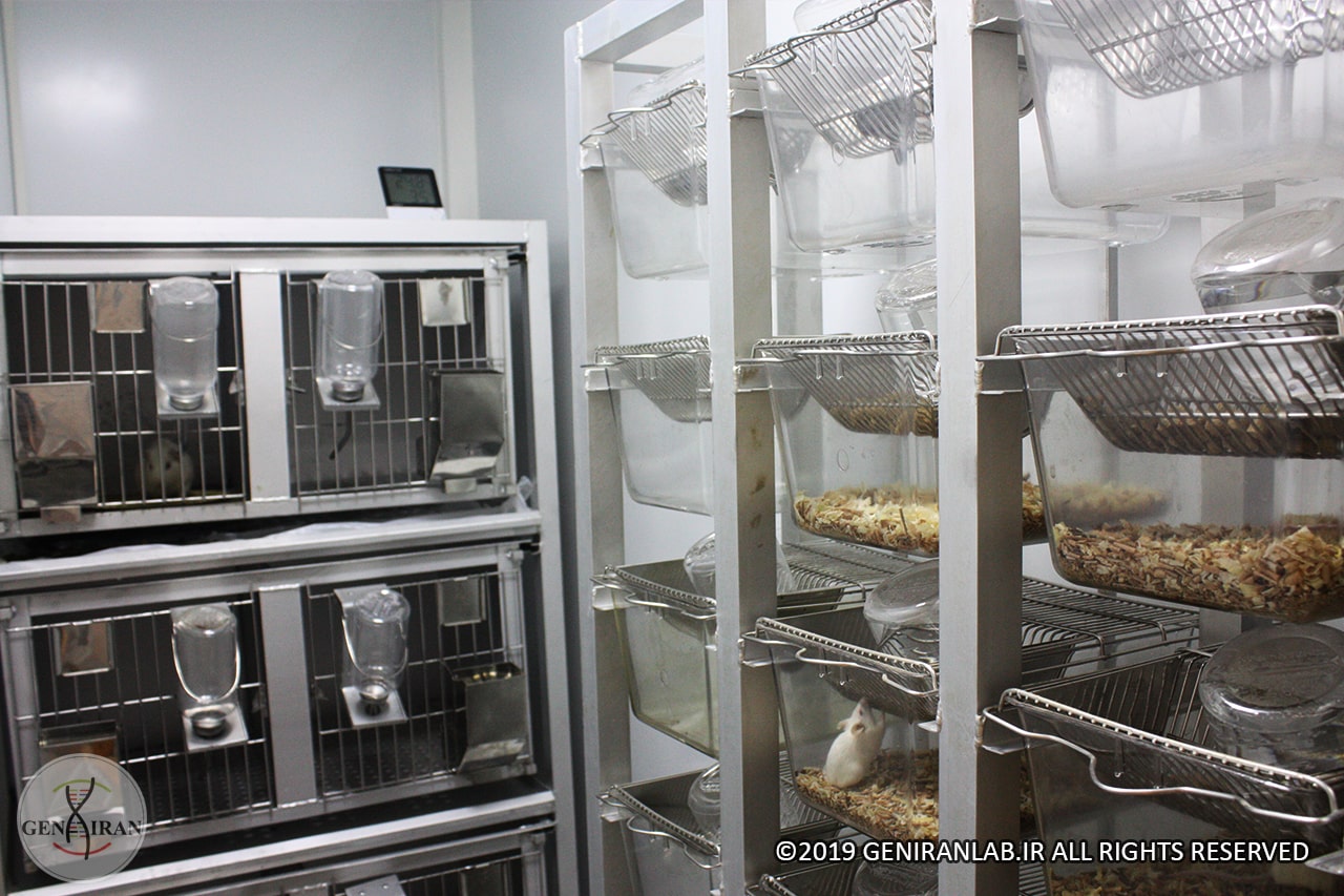 قفس حیوانات آزمایشگاه ژنیران