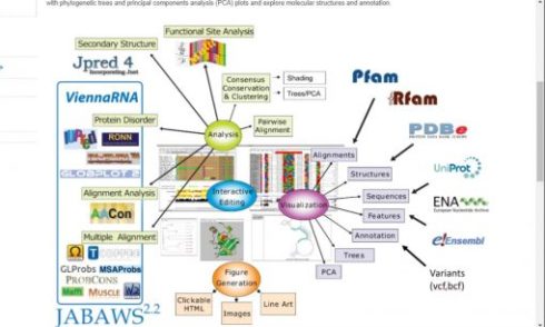 همردیف سازی