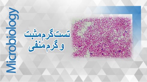 آموزش رنگ آمیزی گرم