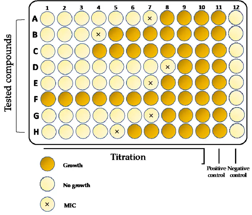 پلیت نهایی تست MIC