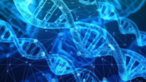 نحوه تکثیر DNA