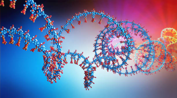 rna