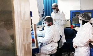 کنترل کیفی آزمایشگاه کشت سلول در آزمایشگاه ژنیران