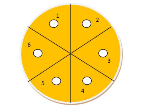 تکنیک تست Disk Diffusion