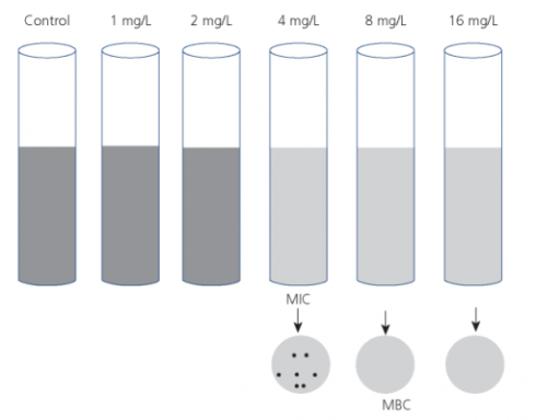 تکنیک حداقل غلظت ضد باکتری (MBC)