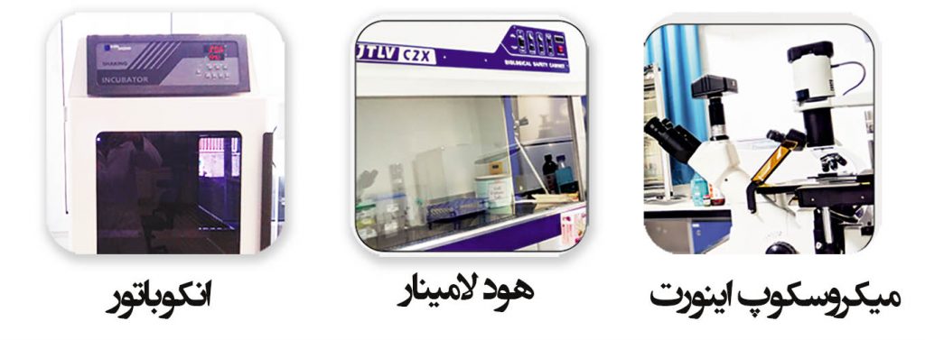 تجهیزات مورد نیاز استخراج سلول های اولیه از بافت