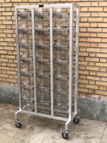 رک موش آزمایشگاهی