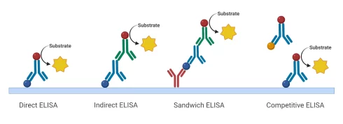 تکنیک الایزا و انواع آن