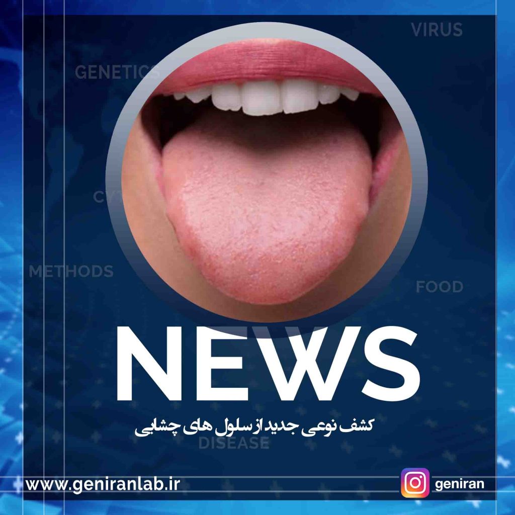 کشف نوعی جدید از سلول های چشایی