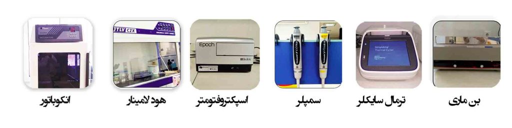 کلونینگ کامل ژن