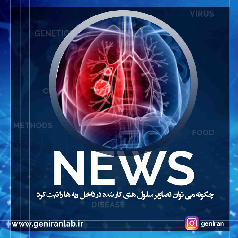 چگونه می توان تصاویر سلول های کار شده در داخل ریه ها را ثبت کرد