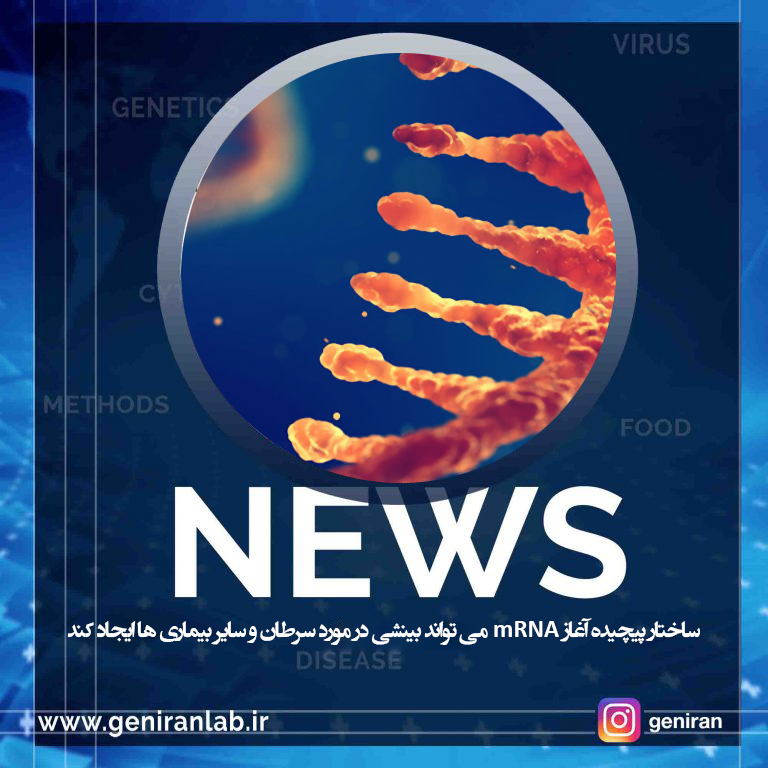 ساختار پیچیده آغاز mRNA می تواند بینشی در مورد سرطان و سایر بیماری ها ایجاد کند