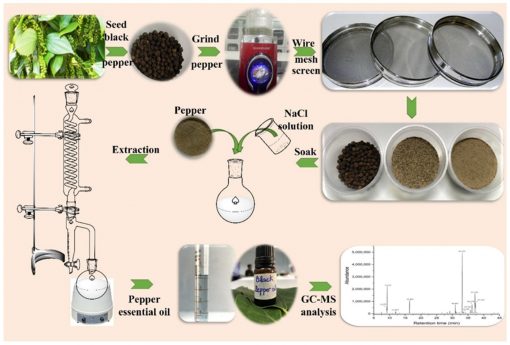 آموزش اسانس گیری (Essential oil)