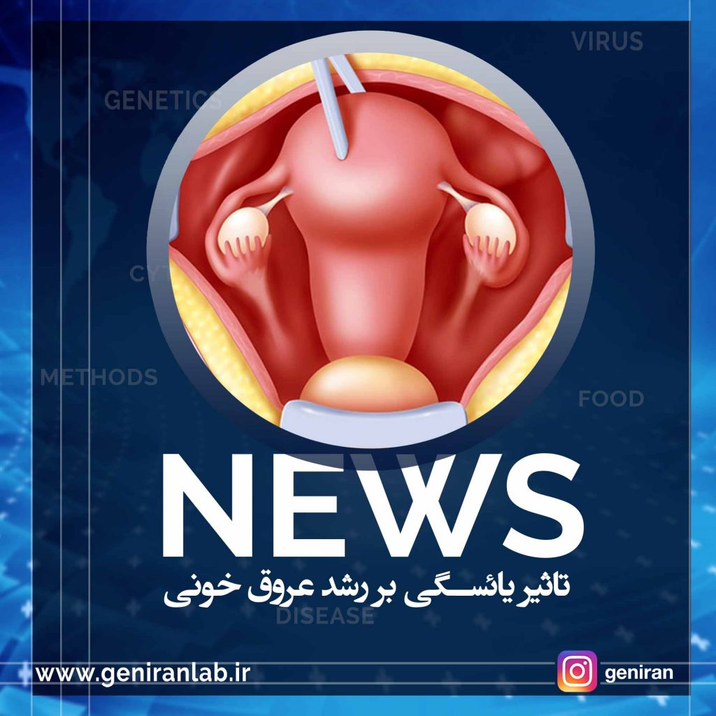 تاثیر یائسگی بر رشد عروق خونی