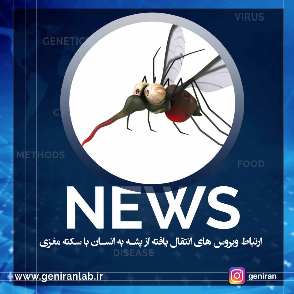 ارتباط ویروس های انتقال یافته از پشه به انسان با سکته مغزی