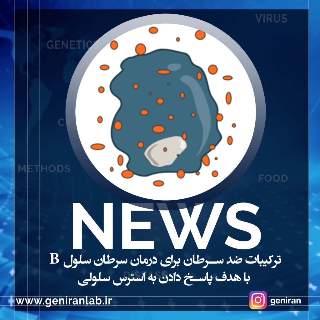 ترکیبات ضد سرطان برای درمان سرطان سلول B با هدف پاسخ دادن به استرس سلولی