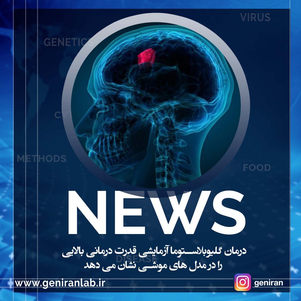 درمان گلیوبلاستوما آزمایشی قدرت درمانی بالایی را در مدل های موشی نشان می دهد