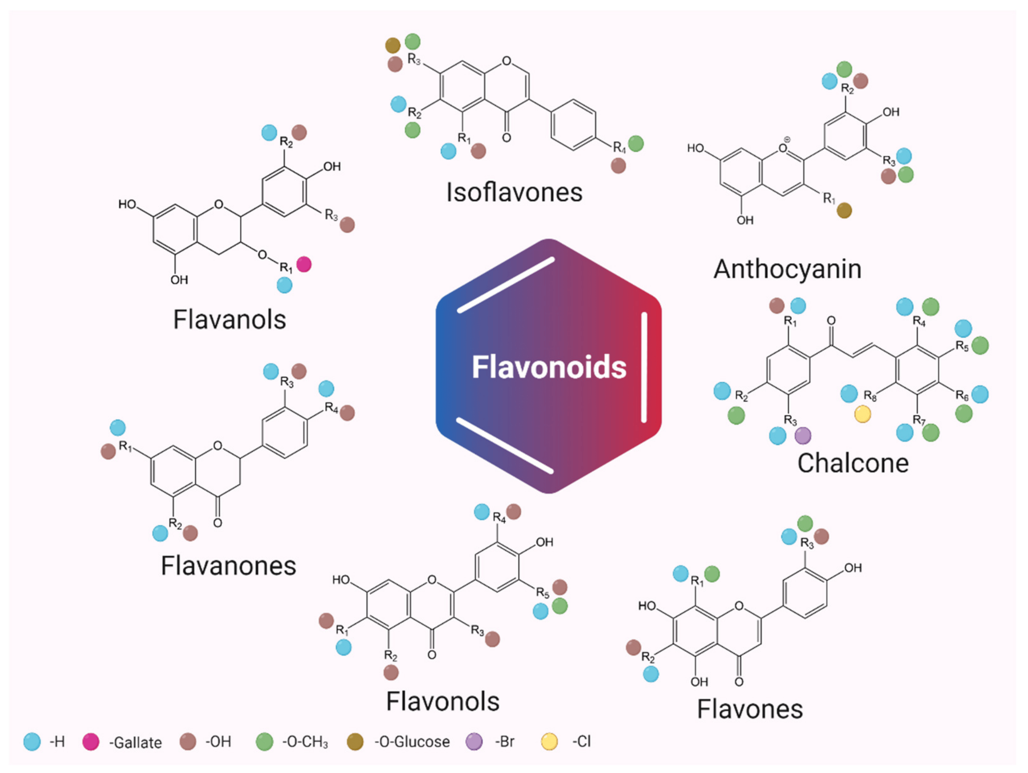 انواع فلاونوئیدها