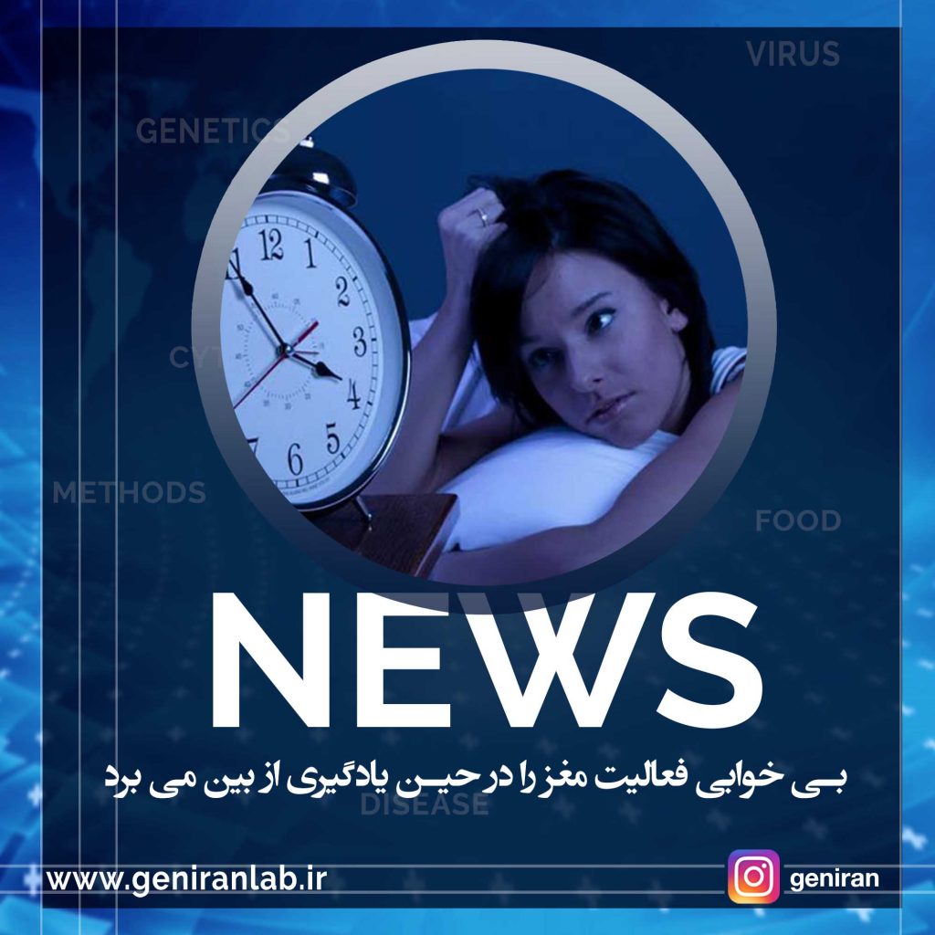 بی خوابی فعالیت مغز را در حین یادگیری از بین می برد