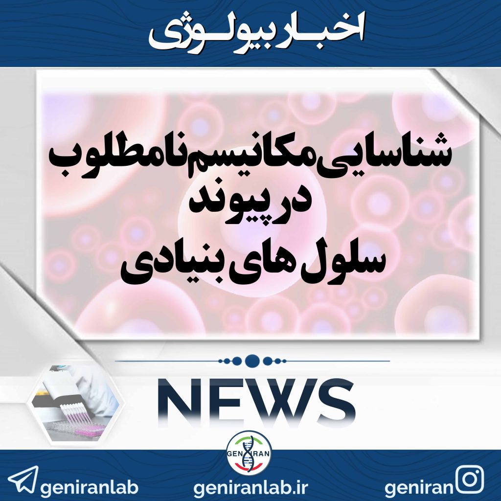 شناسایی مکانیسم نامطلوب در پیوند سلول های بنیادی
