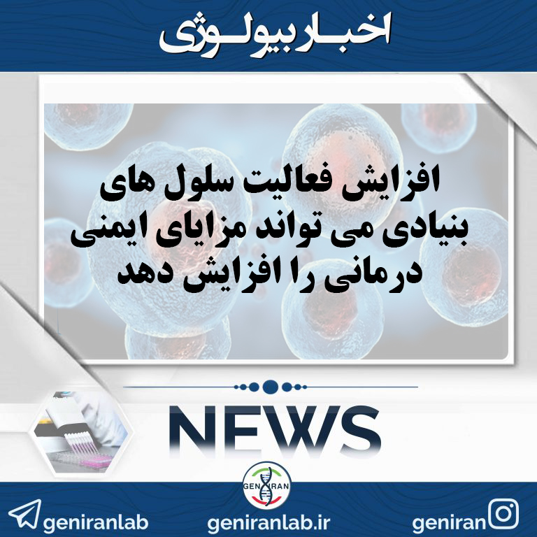 افزایش فعالیت سلول های بنیادی می تواند مزایای ایمنی درمانی را افزایش دهد