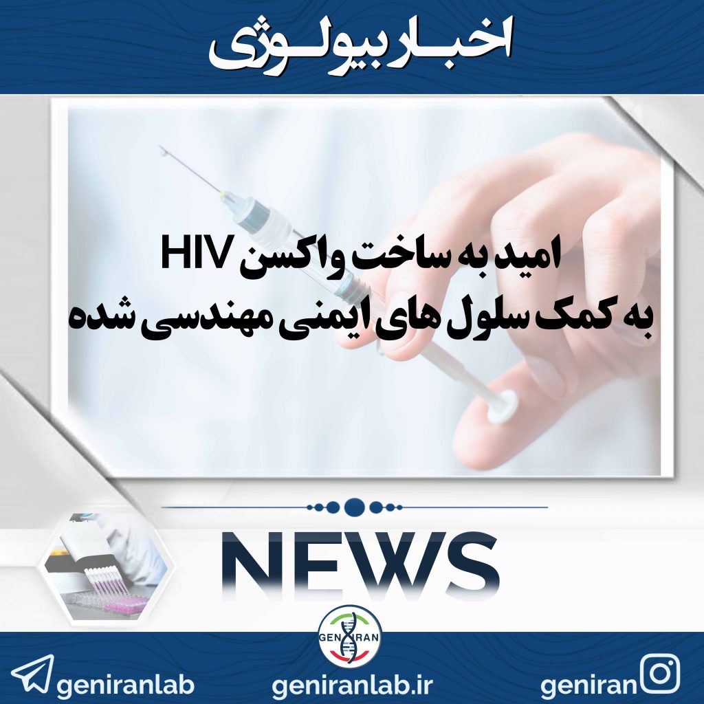 امید به ساخت واکسن HIV به کمک سلول های ایمنی مهندسی شده