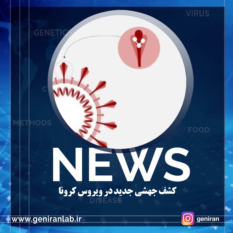کشف جهشی جدید در ویروس کرونا