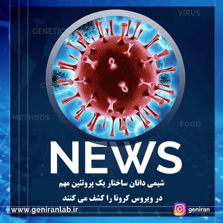 شیمی دانان ساختار یک پروتئین مهم در ویروس کرونا را کشف می کنند
