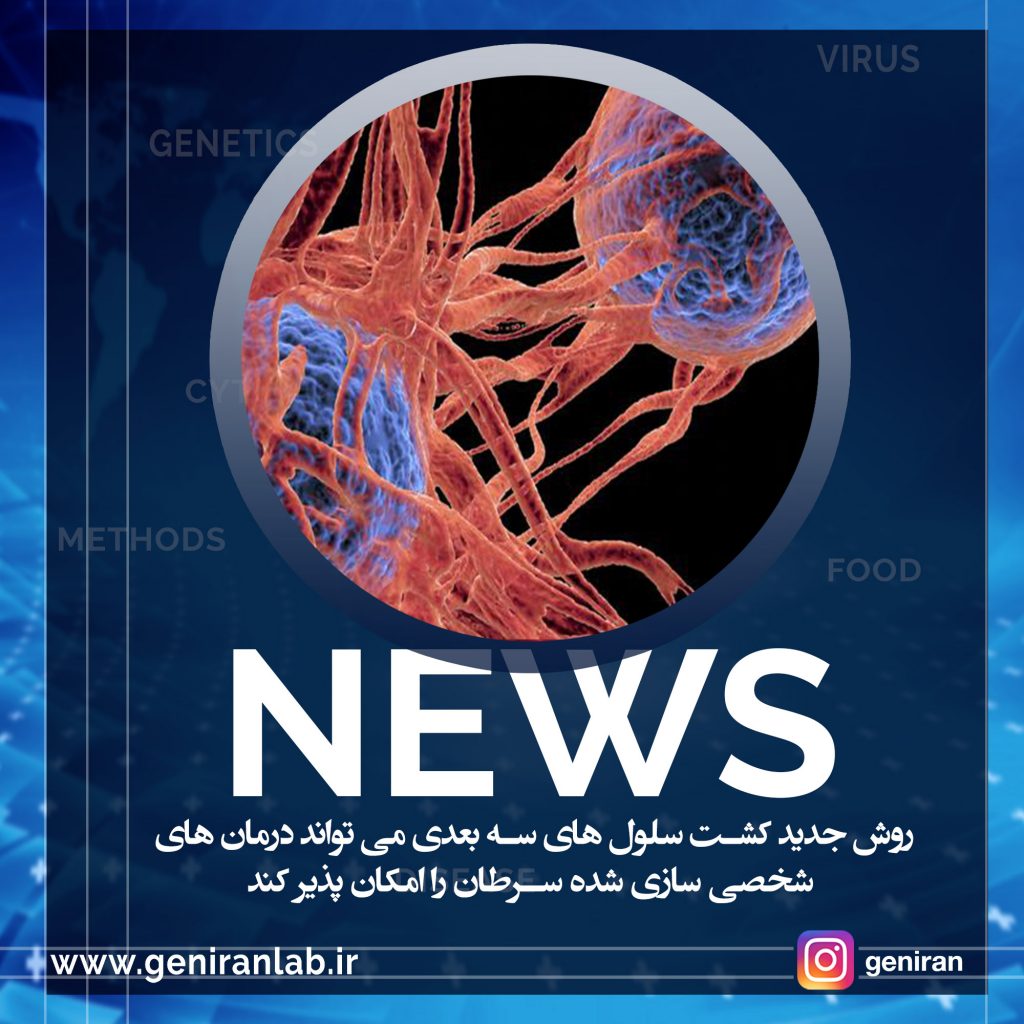 روش جدید کشت سلول های سه بعدی می تواند درمان های شخصی سازی شده سرطان را امکان پذیر کند