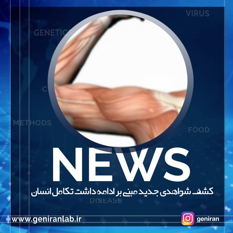 کشف شواهدی جدید مبنی بر ادامه داشت تکامل انسان