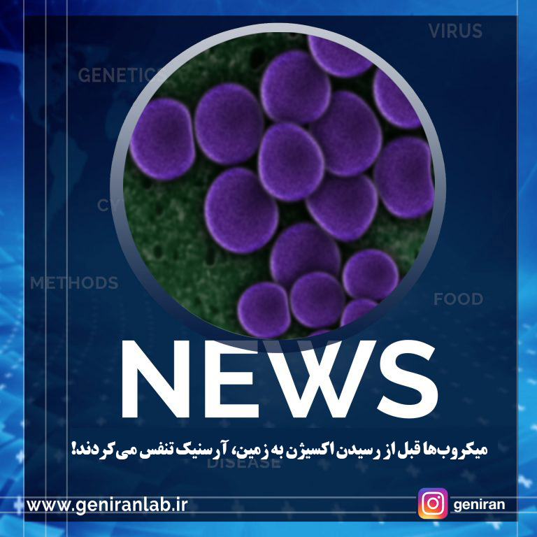 تنفس آرسنیک به جای اکسیژن در میکروب های باستانی