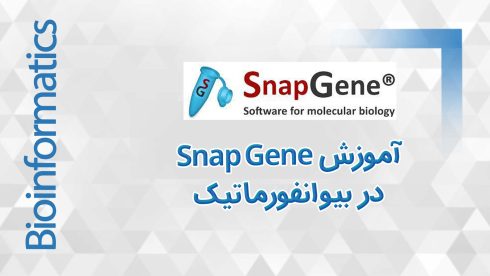 snapgene